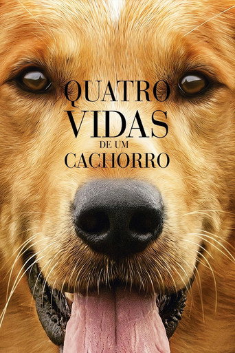 Poster de Quatro Vidas de um Cachorro