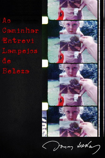 Poster de Ao Caminhar Entrevi Lampejos de Beleza