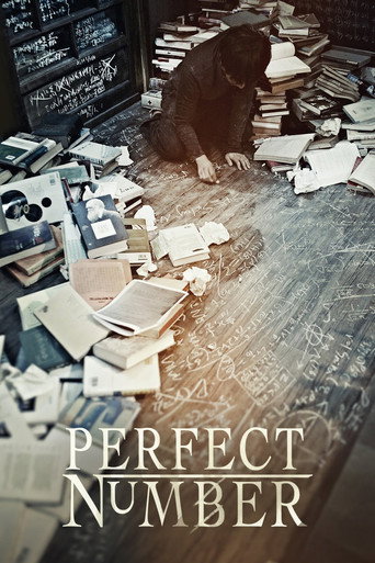 Poster de Suspeito X