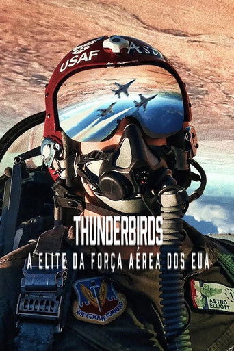 Poster de Thunderbirds: A Elite da Força Aérea dos EUA