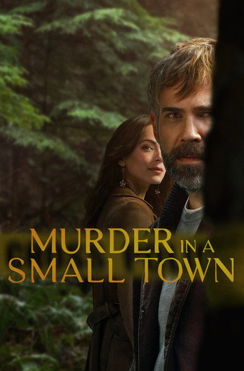 Poster de Murder in a Small Town