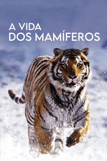 Poster de A Vida dos Mamíferos