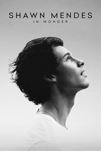 Poster de Shawn Mendes: In Wonder