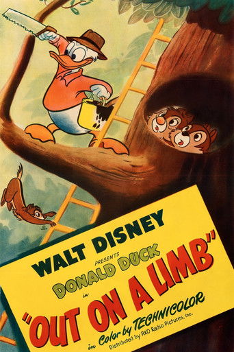 Poster de Situação Delicada