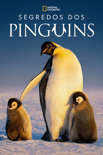 Poster de Segredos dos Pinguins