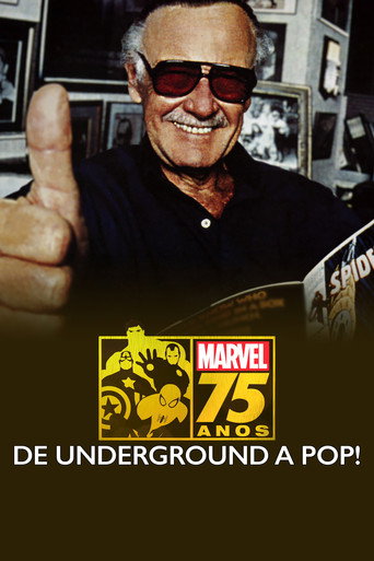 Poster de Marvel 75 Anos: De Underground a Pop!