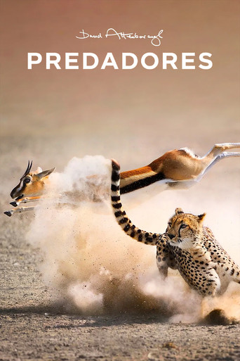 Poster de Predadores