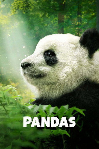 Poster de Pandas