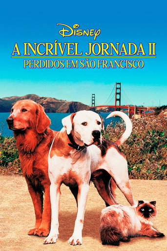 Poster de A Incrível Jornada II: Perdidos em São Francisco