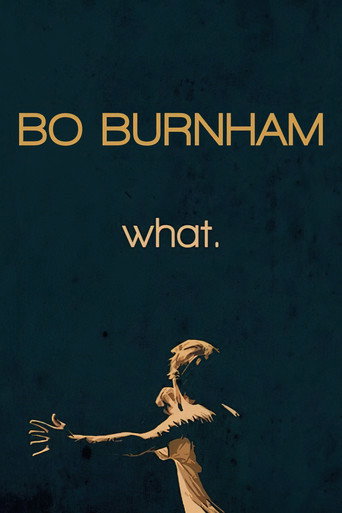 Poster de Bo Burnham: What.