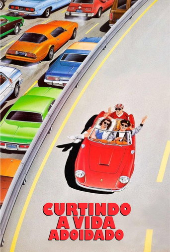Poster de Curtindo a Vida Adoidado