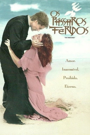 Poster de Os Pássaros Feridos