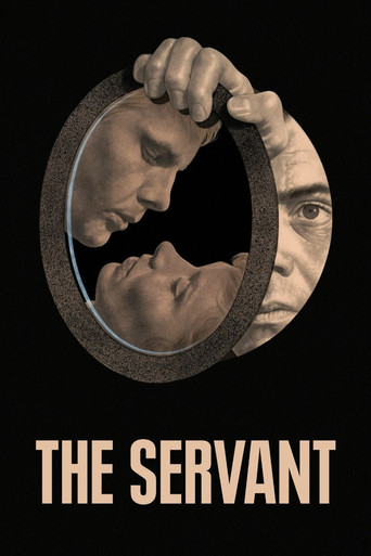 Poster de O Criado