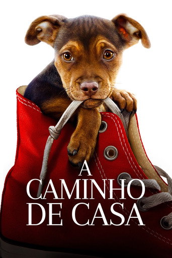Poster de A Caminho de Casa
