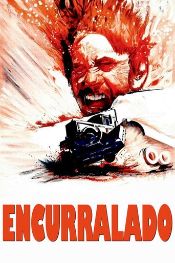 Poster de Encurralado