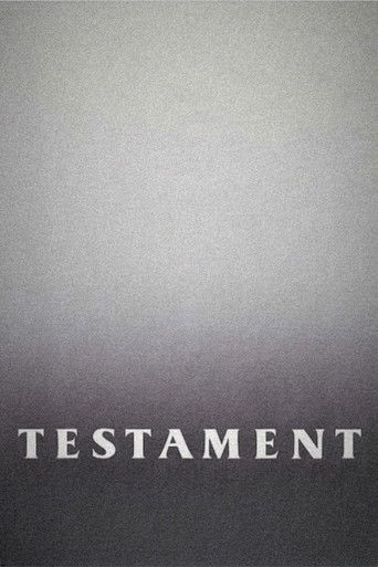 Poster de O Testamento