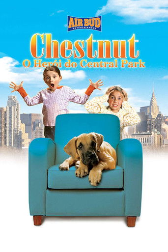 Poster de Chestnut: O Herói do Central Park