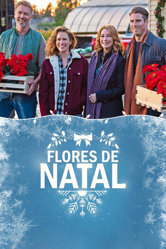Poster de Flores de Natal