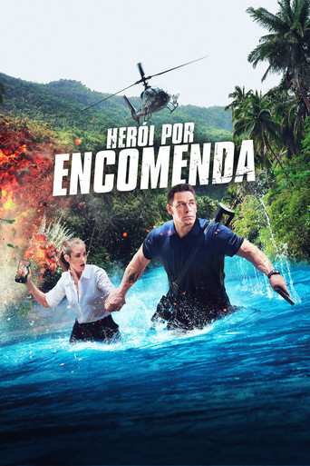 Poster de Herói por Encomenda